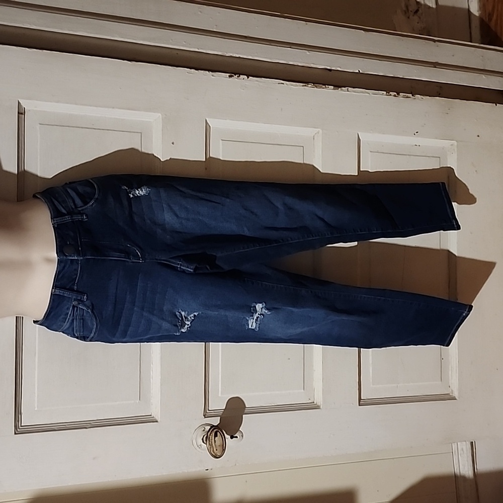 Astor Denim Distressed Skinny Jeans 7